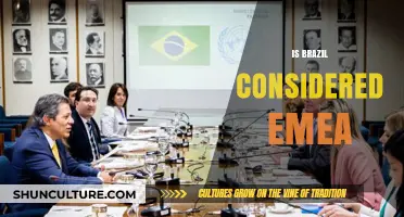 Exploring Brazil's Inclusion in EMEA: A Comprehensive Analysis