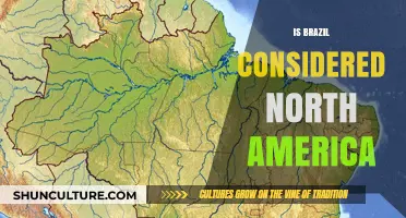 Exploring Brazil's Geographic Identity: North America or South?