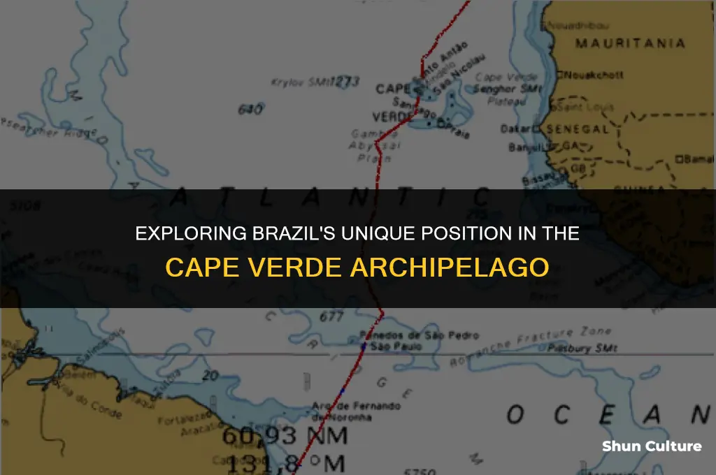 is brazil considered part of the cape