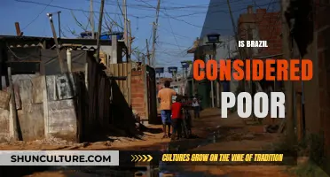 Economic Realities: Understanding Brazil's Poverty Status