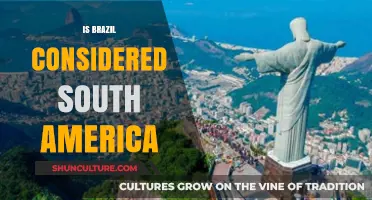 Exploring Brazil's Cultural and Geographic Ties to South America