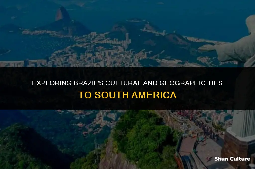 is brazil considered south america