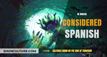 Exploring Language Myths: Is Brazil Really a Spanish-Speaking Country?