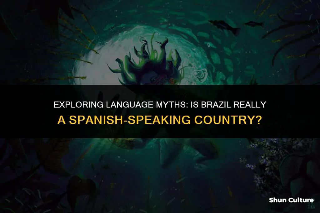 is brazil considered spanish