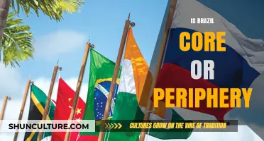 Brazil's Economic Role: Core or Periphery in the Global Market?