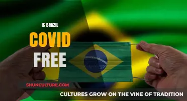 Brazil's COVID-19 Status: A Comprehensive Update
