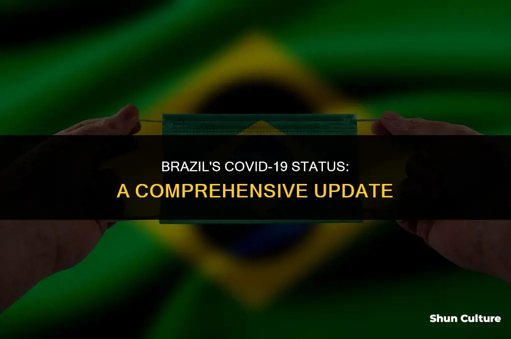 is brazil covid free