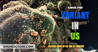 US Faces New Wave: The Arrival of Brazil's COVID Variant