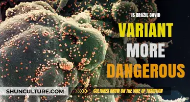 Unraveling the Mystery: Is the Brazil COVID Variant More Dangerous?