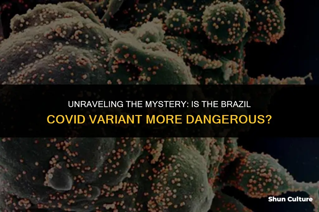 is brazil covid variant more dangerous