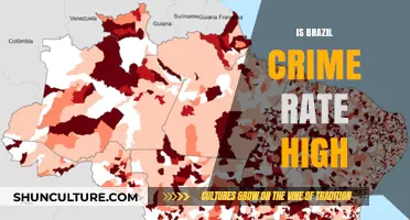 Unveiling the Truth: Brazil's Crime Rate in the Spotlight