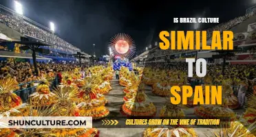 Exploring the Intriguing Parallels Between Brazilian and Spanish Cultures