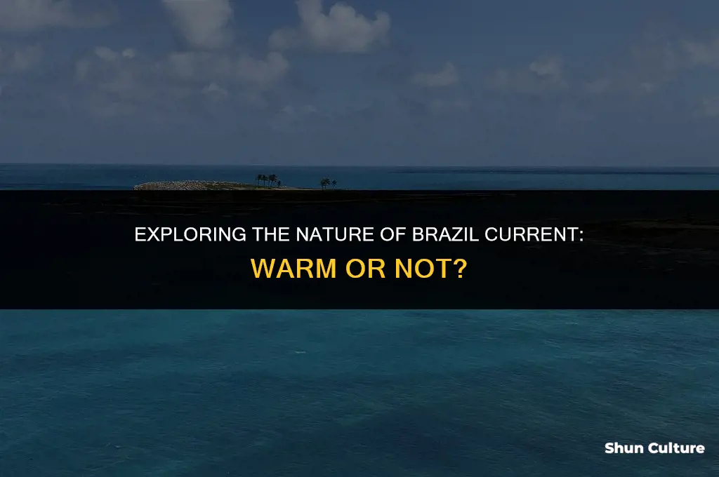 is brazil current a warm current