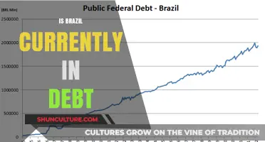 Brazil's Fiscal Health: Navigating the Complexities of National Debt