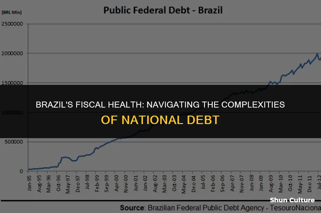 is brazil currently in debt