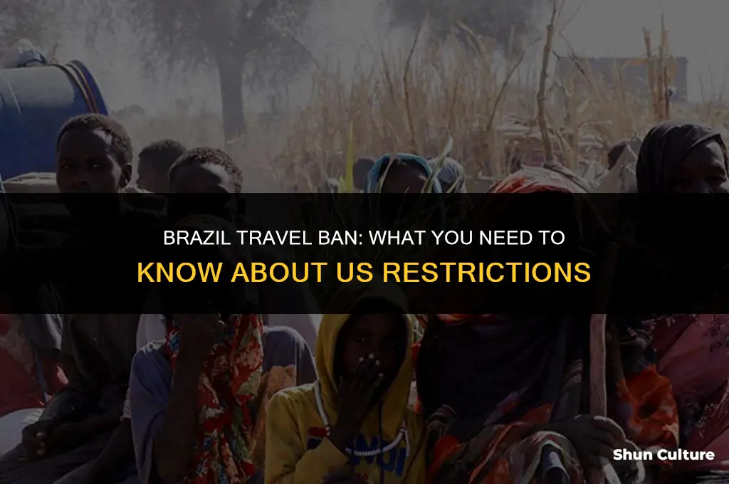 is brazil currently suspended from traveling to the us