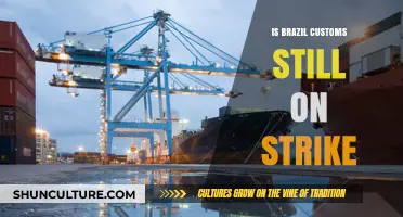 Brazil Customs Strike Update: Current Status and Impact on Trade