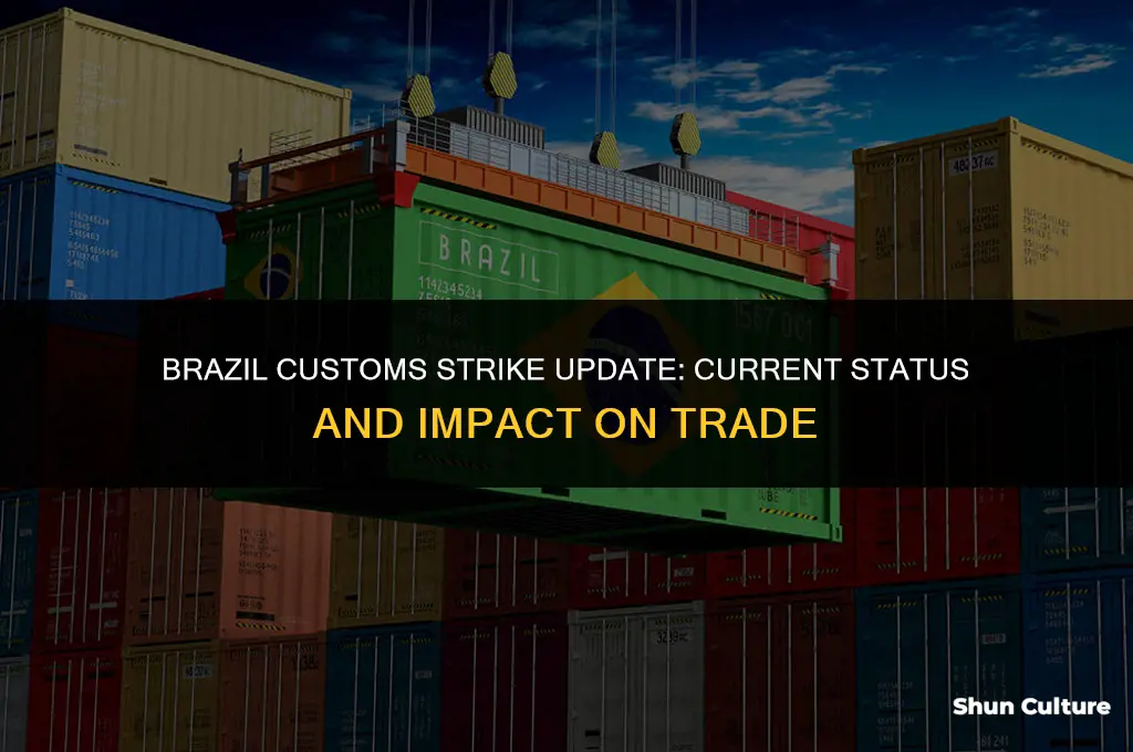 is brazil customs still on strike