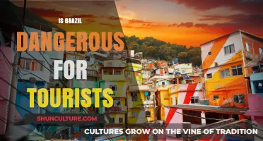 Exploring Brazil's Safety: What Tourists Need to Know