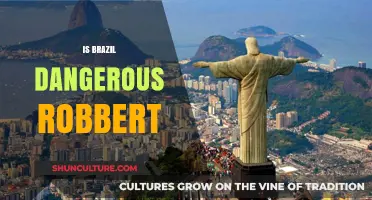 Exploring Brazil's Safety: Myths, Realities, and Travel Tips