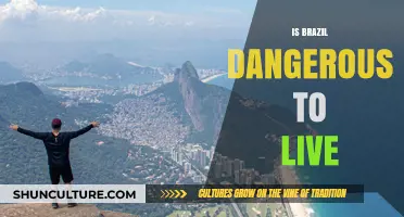 Exploring Safety in Brazil: Myths, Realities, and Living Conditions