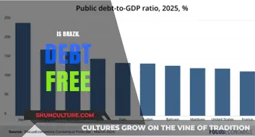 Brazil's Financial Freedom: A Closer Look at Its Debt Status