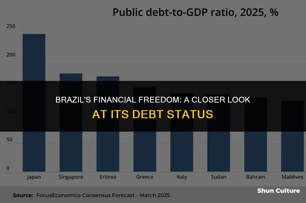 is brazil debt free
