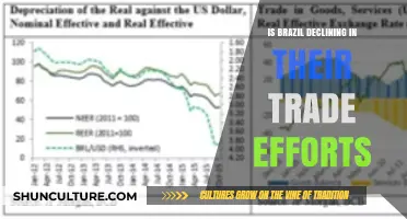 Brazil's Trade Efforts: A Decline or Strategic Shift?