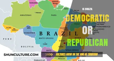 Exploring Brazil's Political Landscape: Democracy or Republic?