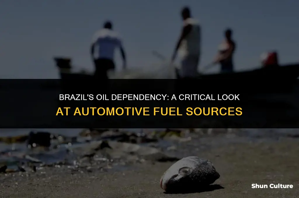is brazil dependent on oil for cars