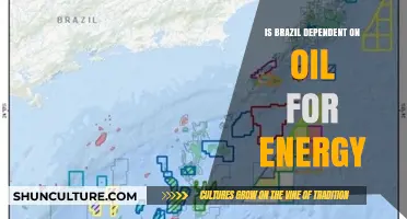 Brazil's Energy Dilemma: Assessing Dependence on Oil