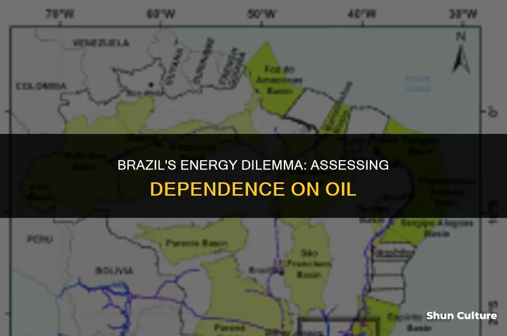 is brazil dependent on oil for energy