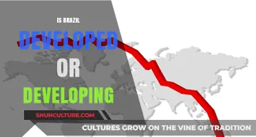 Brazil's Economic Status: Developed or Still Developing Nation?