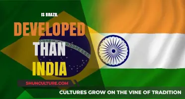 Comparing Giants: Brazil and India's Development Trajectories