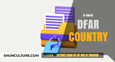 Is Brazil a DFAR Country? Understanding Compliance and Regulations