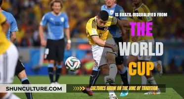 Brazil's World Cup Status: Disqualified or Still in the Game?