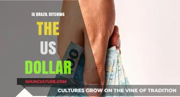 Brazil's Shift: Exploring the Move Away from the US Dollar