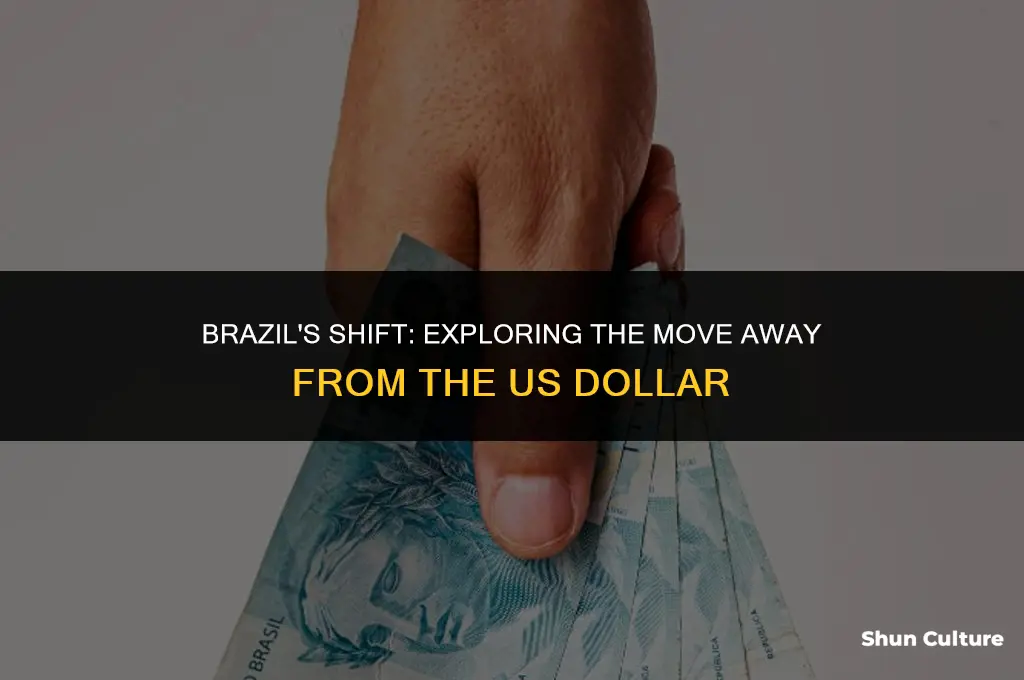 is brazil ditching the us dollar