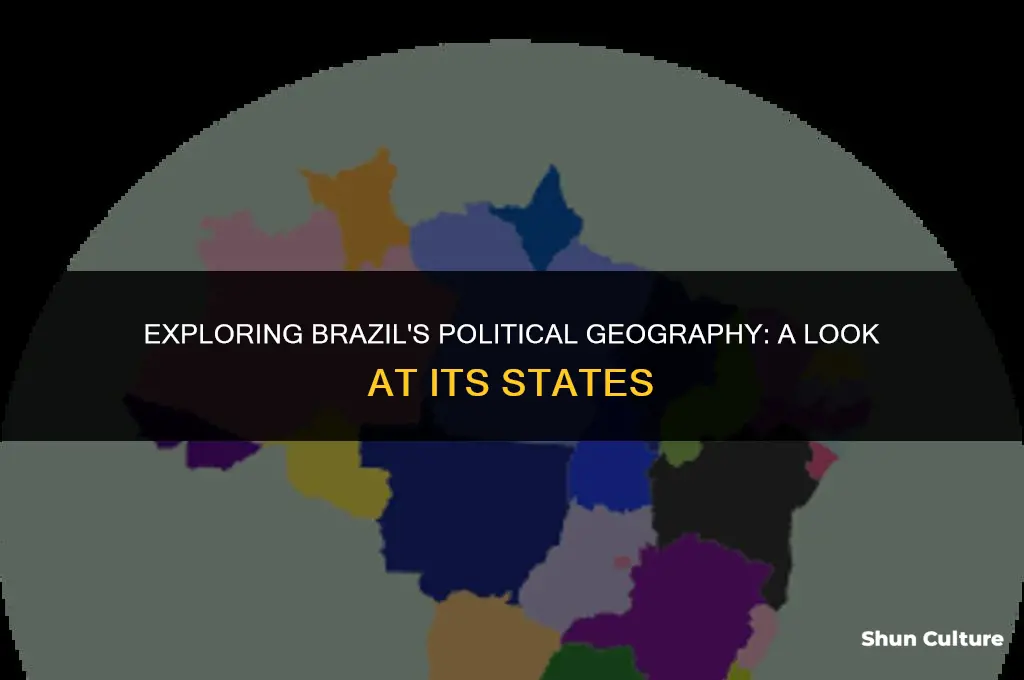 is brazil divided into states