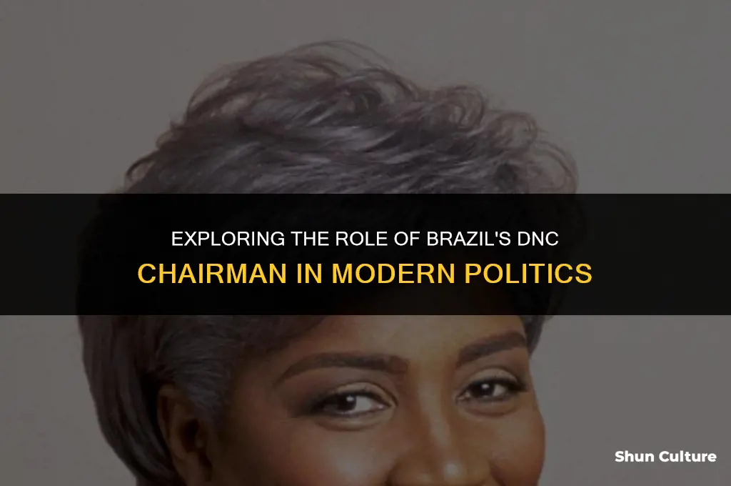 is brazil dnc chairman