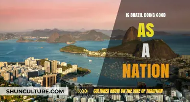 Brazil's Progress: A Nation's Journey Towards Prosperity and Challenges