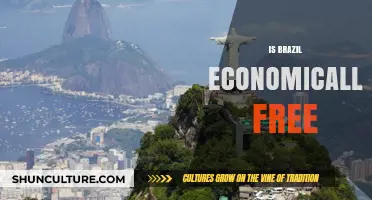 Exploring Brazil's Economic Freedom: A Comprehensive Analysis