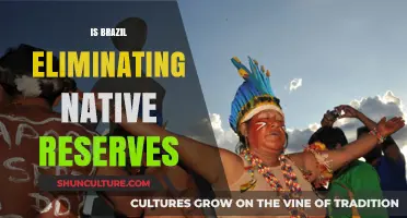 Brazil's Controversial Move: The Fate of Native Reserves