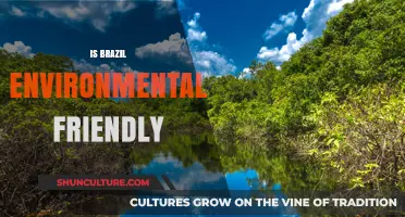 Exploring Brazil's Eco-Friendly Initiatives: A Comprehensive Overview