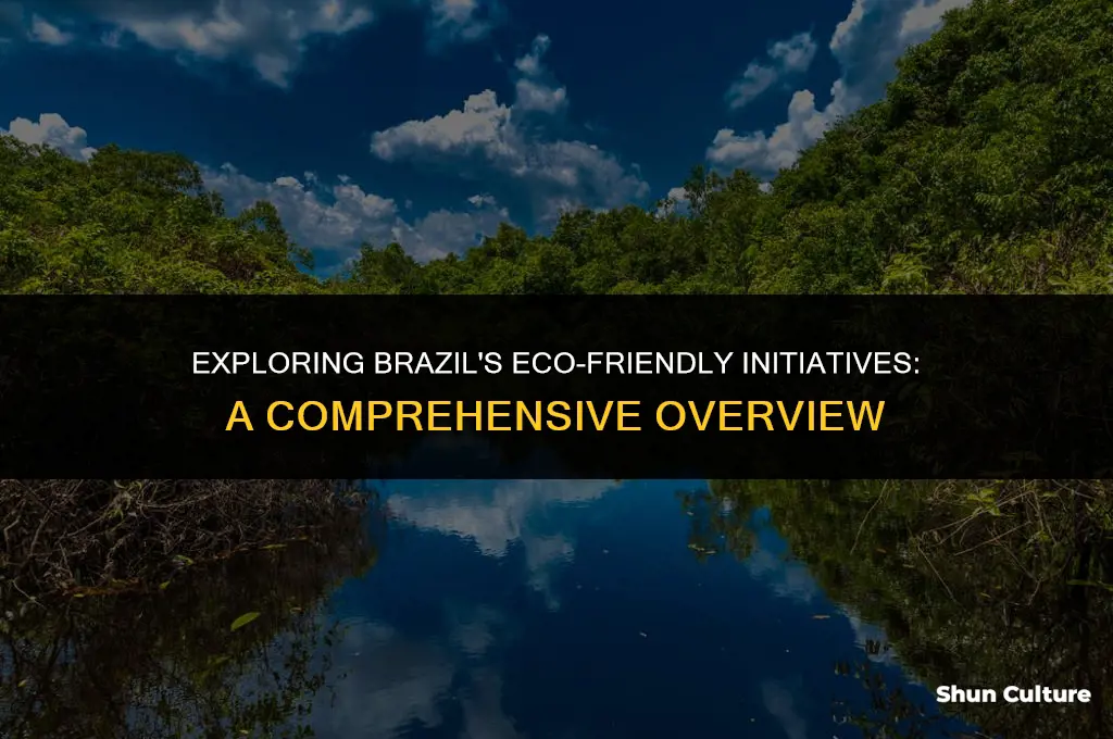 is brazil environmentally friendly
