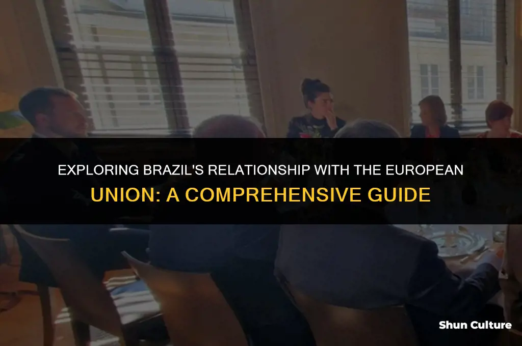 is brazil eu member