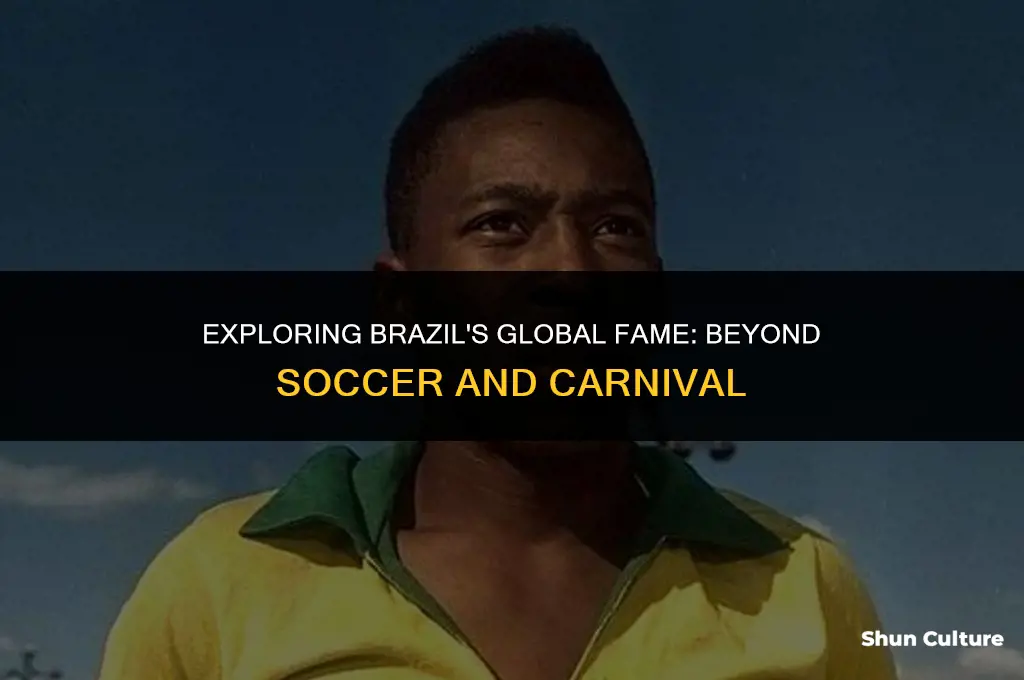 is brazil famous for anything