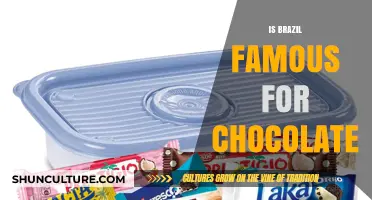 Exploring Brazil's Rich Chocolate Heritage: A Delicious Journey