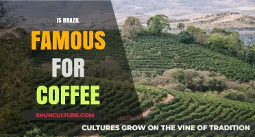 Brazil's Rich Coffee Legacy: A Journey Through the Country's Famous Brew