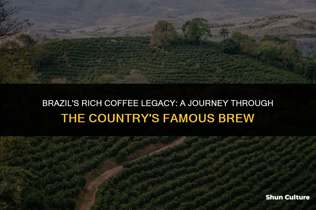 is brazil famous for coffee